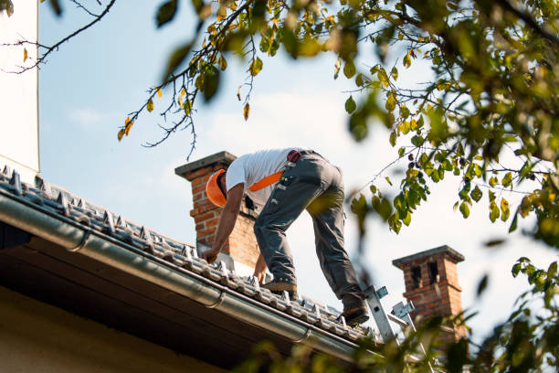 Best Roof Gutter Cleaning  in Somersworth, NH